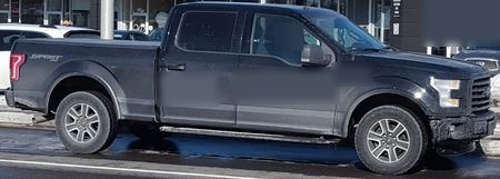 Example still of a black Ford F-150 in profile in front of a storefront, with the driver blurred.